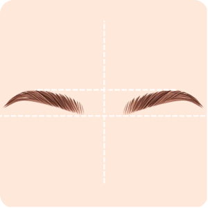 Eyebrows symmetry